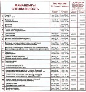 Педколледж алматы гранты